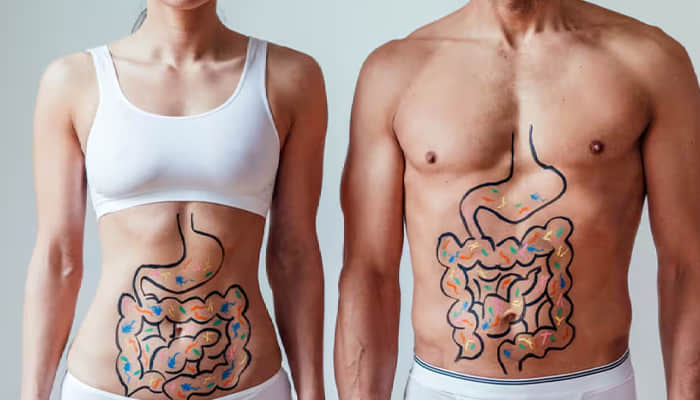 The Importance of Gut Health: Your Microbiome and You