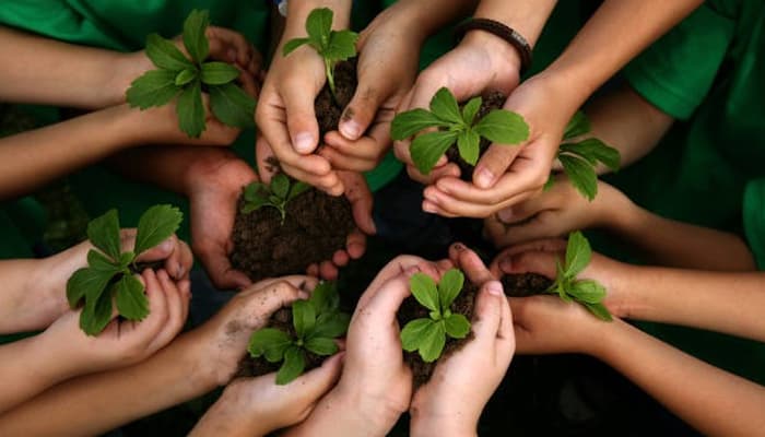 Green Careers: Courses That Prepare You for the Future of Sustainability
